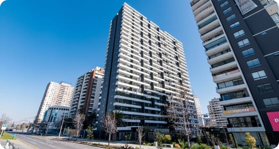 Proyecto_Terranova_assetplan (1)